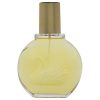 Vanderbilt by Gloria Vanderbilt for Women - 3.38 oz EDT Spray