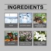 North Moon Pheromone Perfume For Men And Women For Long-Lasting Light Fragrance Fresh Natural Perfume Spray