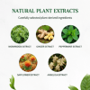 Natural Balance Patches, Body Support Patches with Plant Extracts for Daily Wellness, 5 Patches